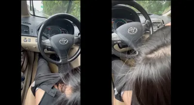 Gấu mưa thích bú liếm trên xe ô tô